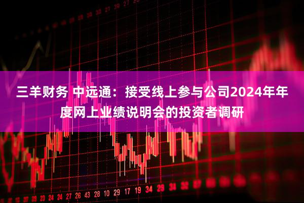 三羊财务 中远通：接受线上参与公司2024年年度网上业绩说明会的投资者调研