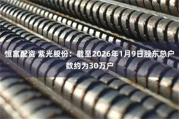 恒富配资 紫光股份：截至2026年1月9日股东总户数约为30万户