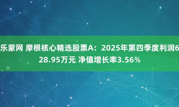 乐蒙网 摩根核心精选股票A：2025年第四季度利润628.95万元 净值增长率3.56%