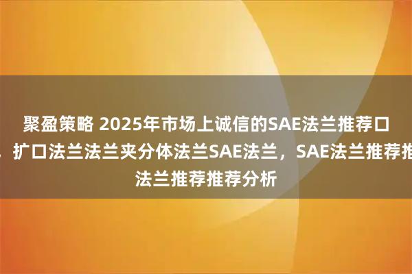 聚盈策略 2025年市场上诚信的SAE法兰推荐口碑推荐，扩口法兰法兰夹分体法兰SAE法兰，SAE法兰推荐推荐分析