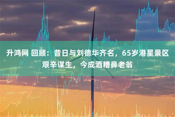 升鸿网 回顾：昔日与刘德华齐名，65岁港星景区艰辛谋生，今成酒糟鼻老翁