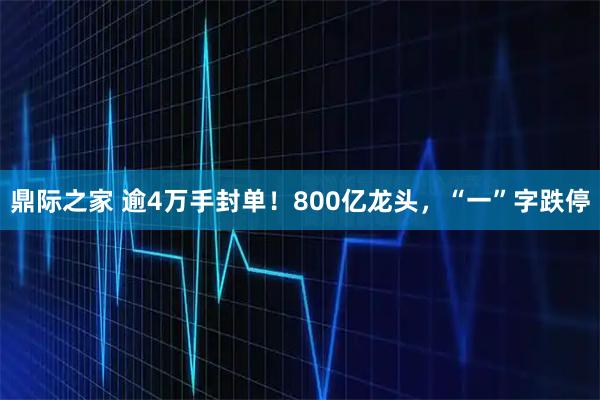 鼎际之家 逾4万手封单！800亿龙头，“一”字跌停